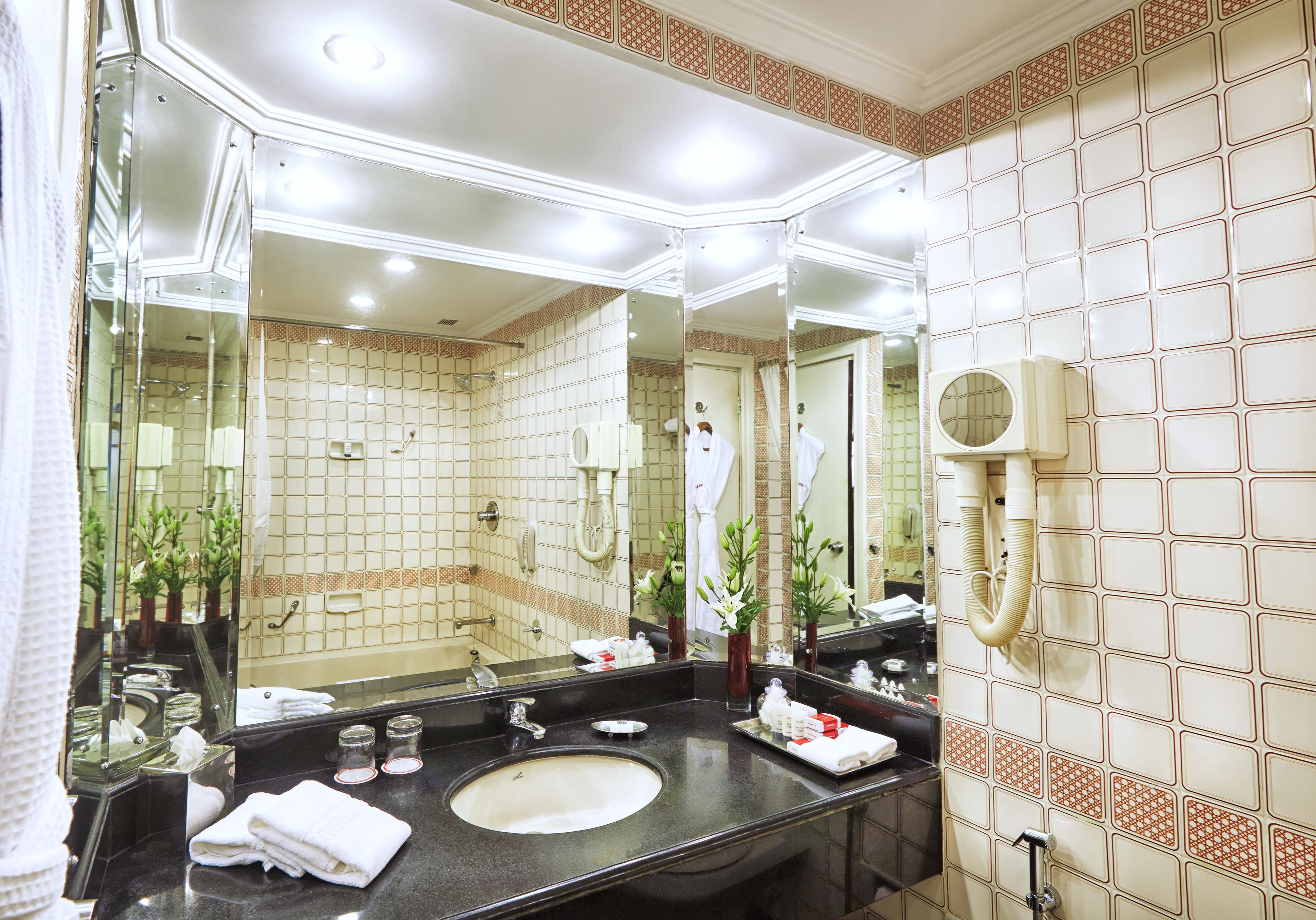 combined shower/bathtub, free toiletries, hair dryer, slippers