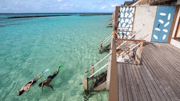 Khuôn viên nơi lưu trú