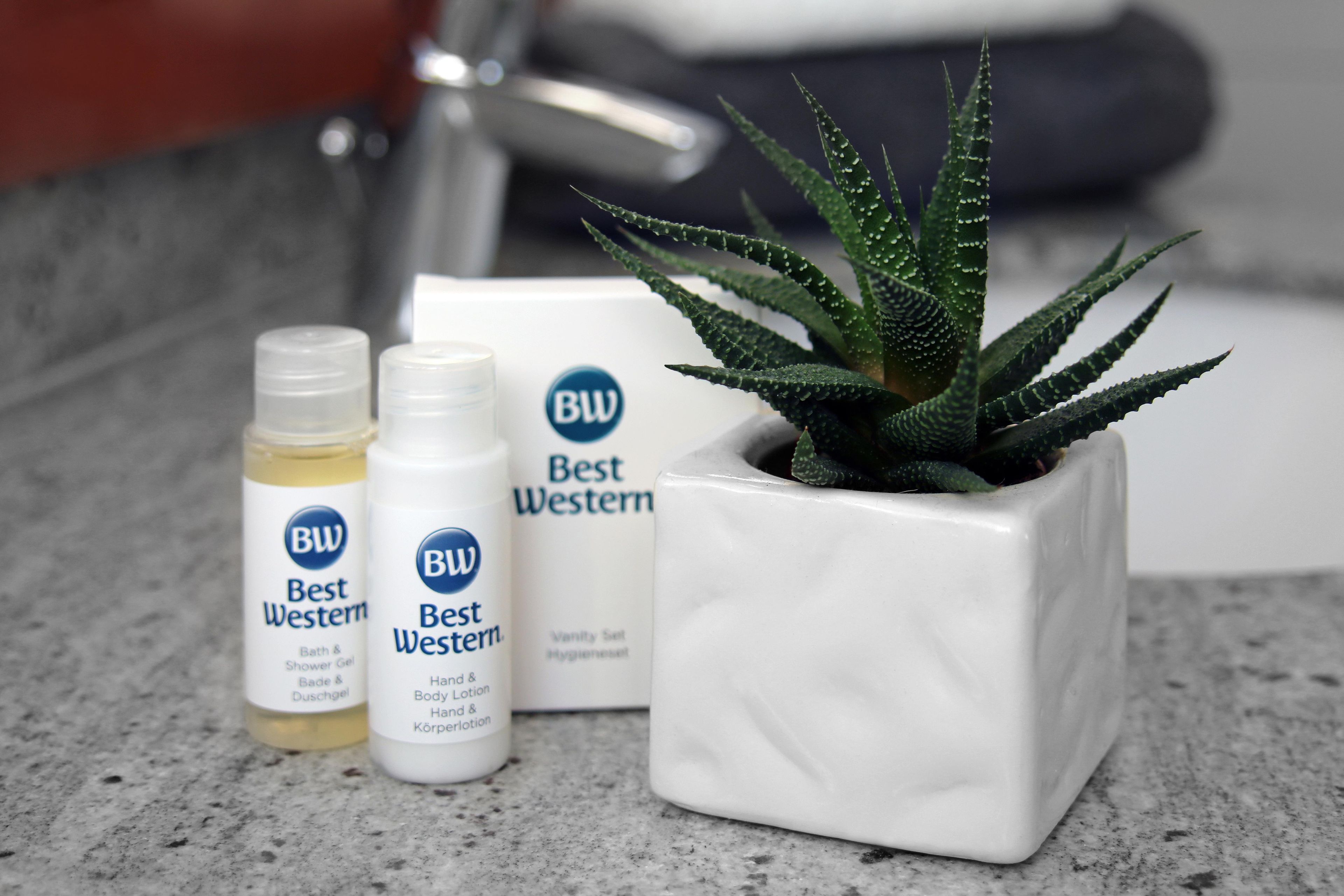 A bathroom counter with a potted aloe vera plant, three bottles of Best Western bath and body products, and a Best Western branded box.