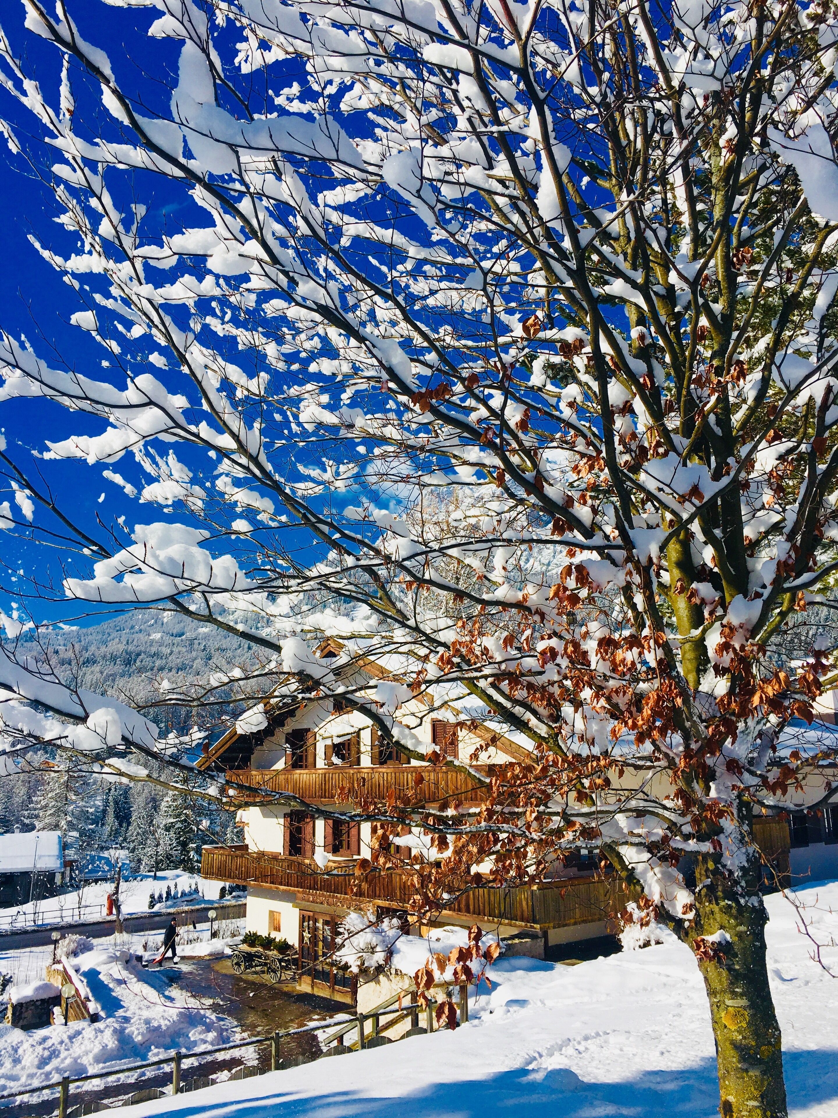 Photo - Hotel Menardi