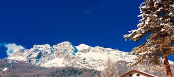 Hotel Menardi