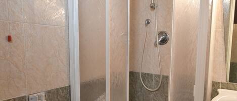 A walk-in shower with a handrail, a sink, and a toilet.