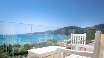 Presidential Suite | View from room