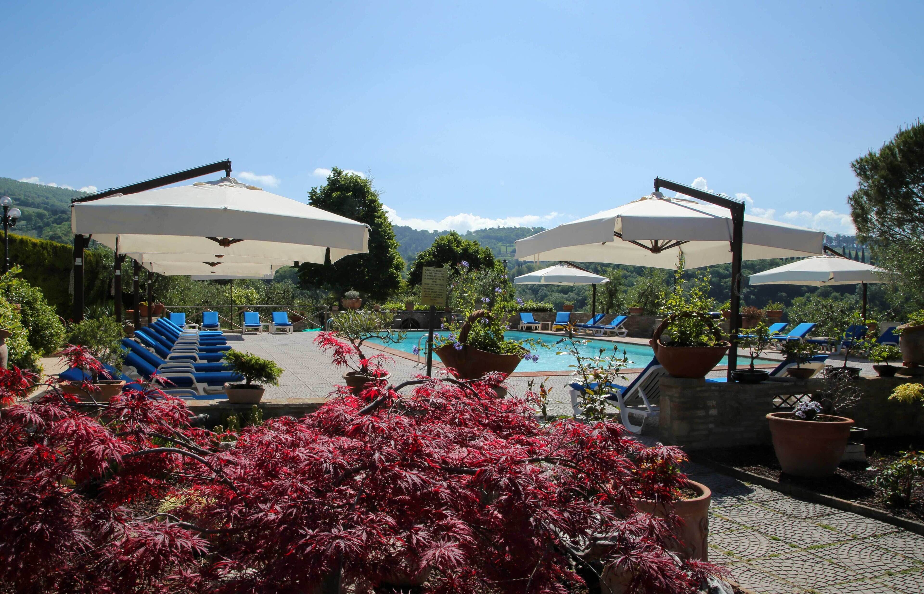 A poolside area with lounge chairs and umbrellas, surrounded by potted plants and trees.