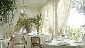 Un espace repas avec des tables rondes, des chaises et des plantes en pot.