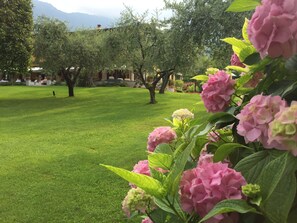 Vista dalla struttura