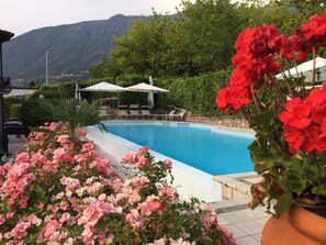 Seasonal outdoor pool, sun loungers