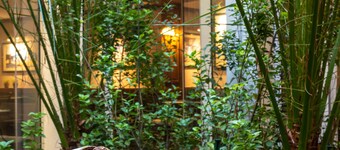 Hotel Apollinaire
