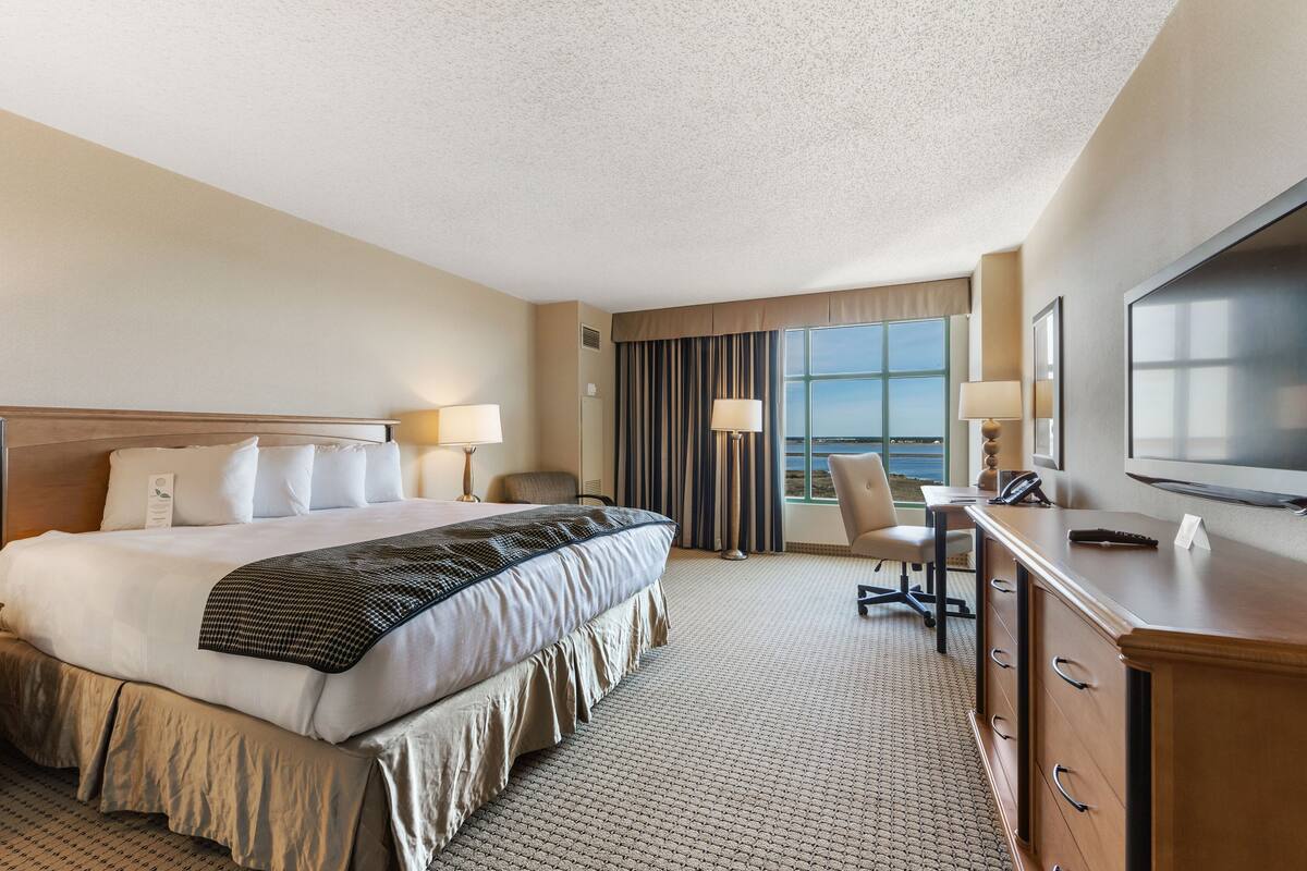 A hotel room with a large bed, a desk with a chair, a television, and a view of the outdoors.