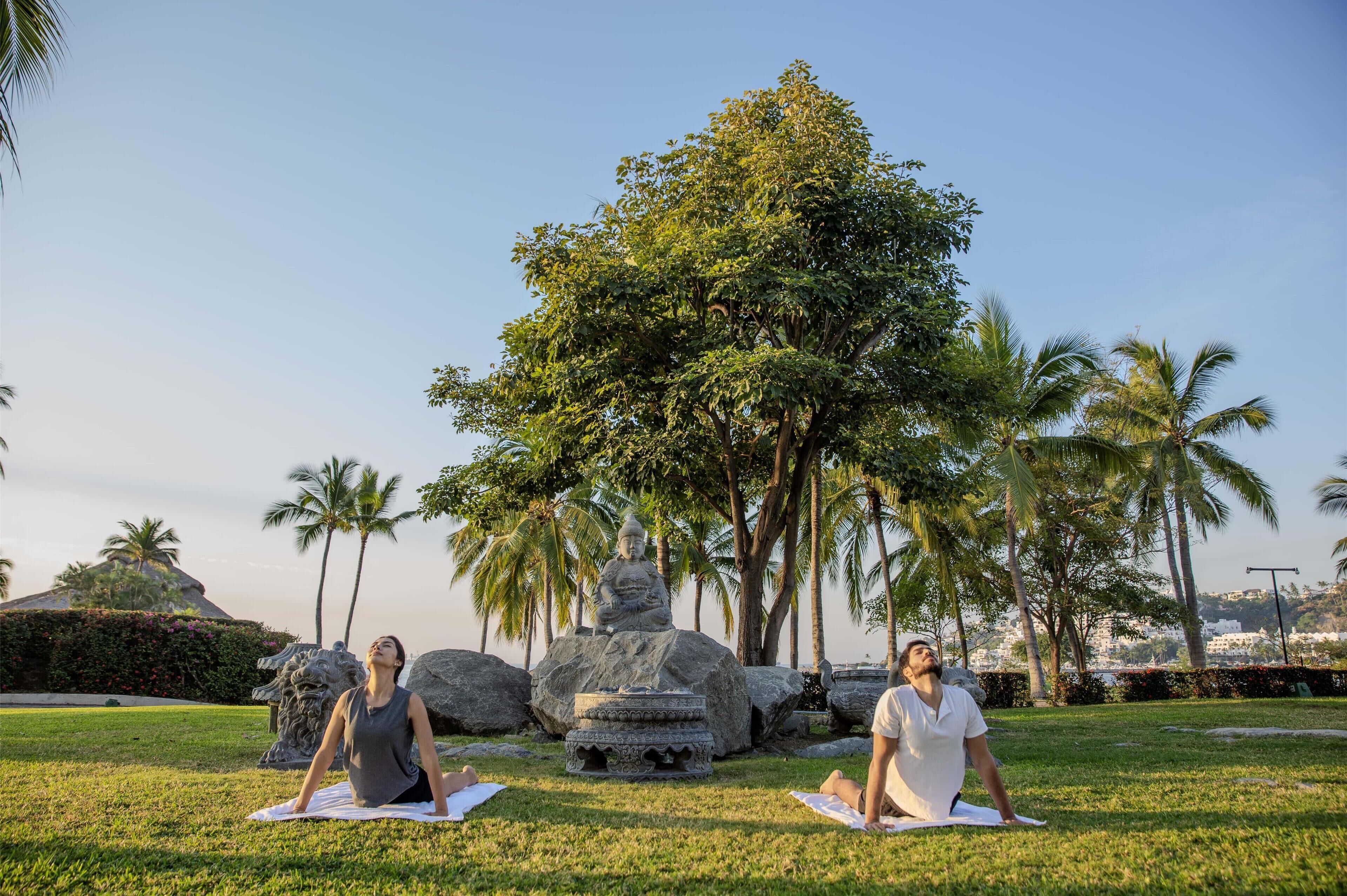 Duas pessoas praticando yoga numa área gramada, com uma árvore grande e uma estátua ao fundo.