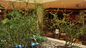 Unclassified image, 2 of 31, button - Hotel Promenade (Mbombela)
