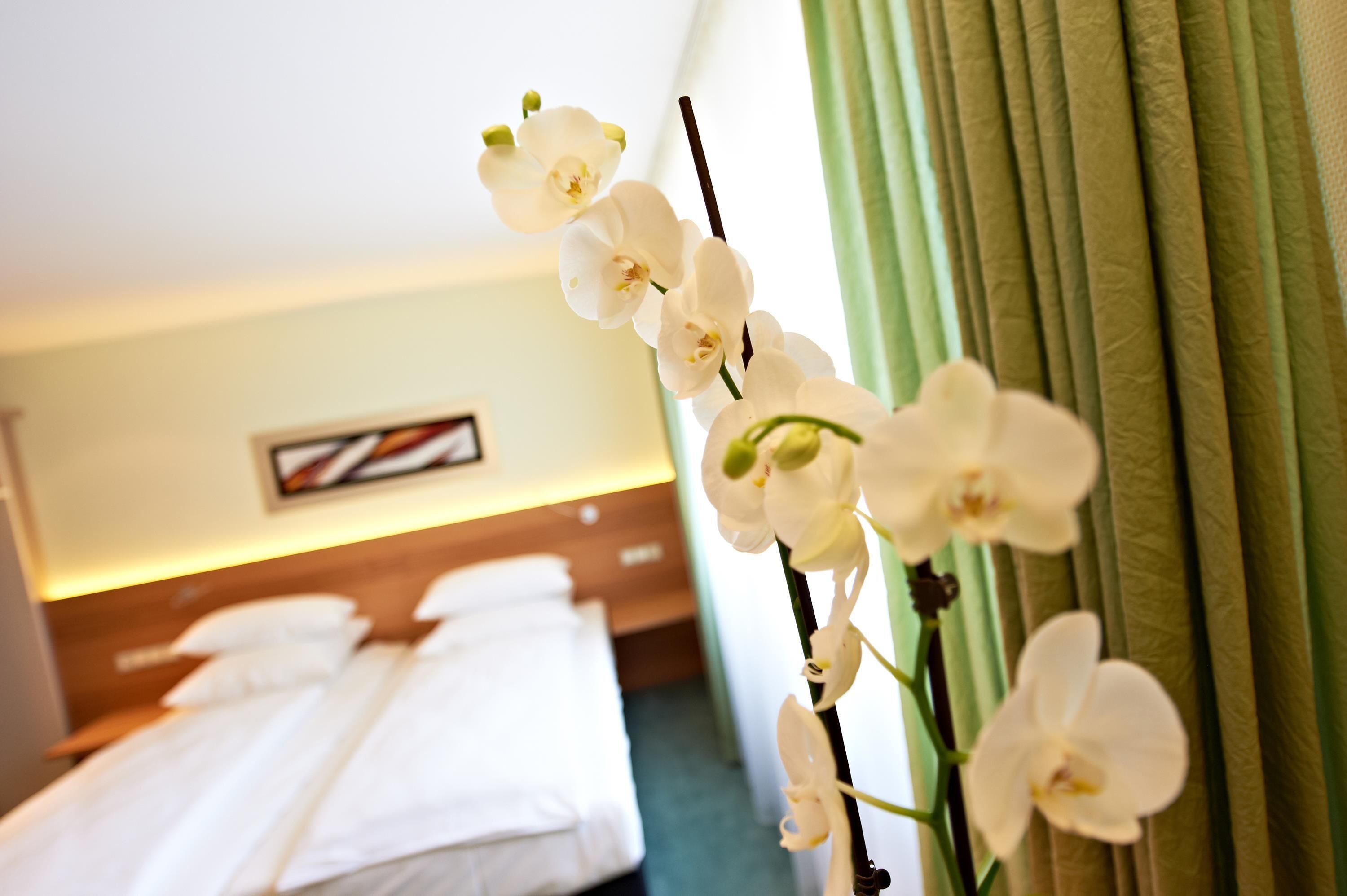 Photo - Hirsch Hotel