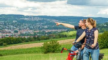 A couple on a bicycle with a cityscape in the background.