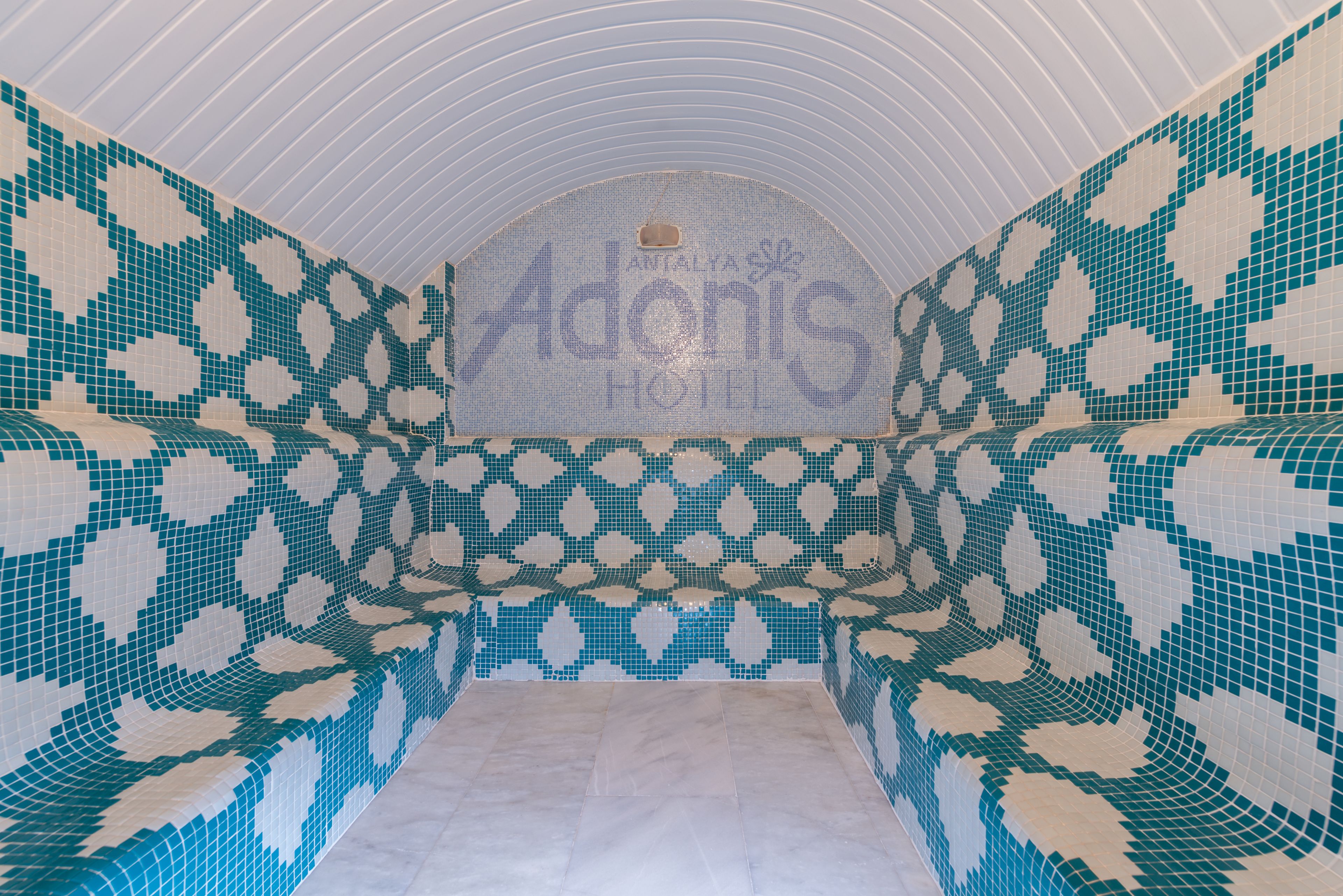 Una piscina con mosaicos y un diseño geométrico, un techo curvo y el texto 