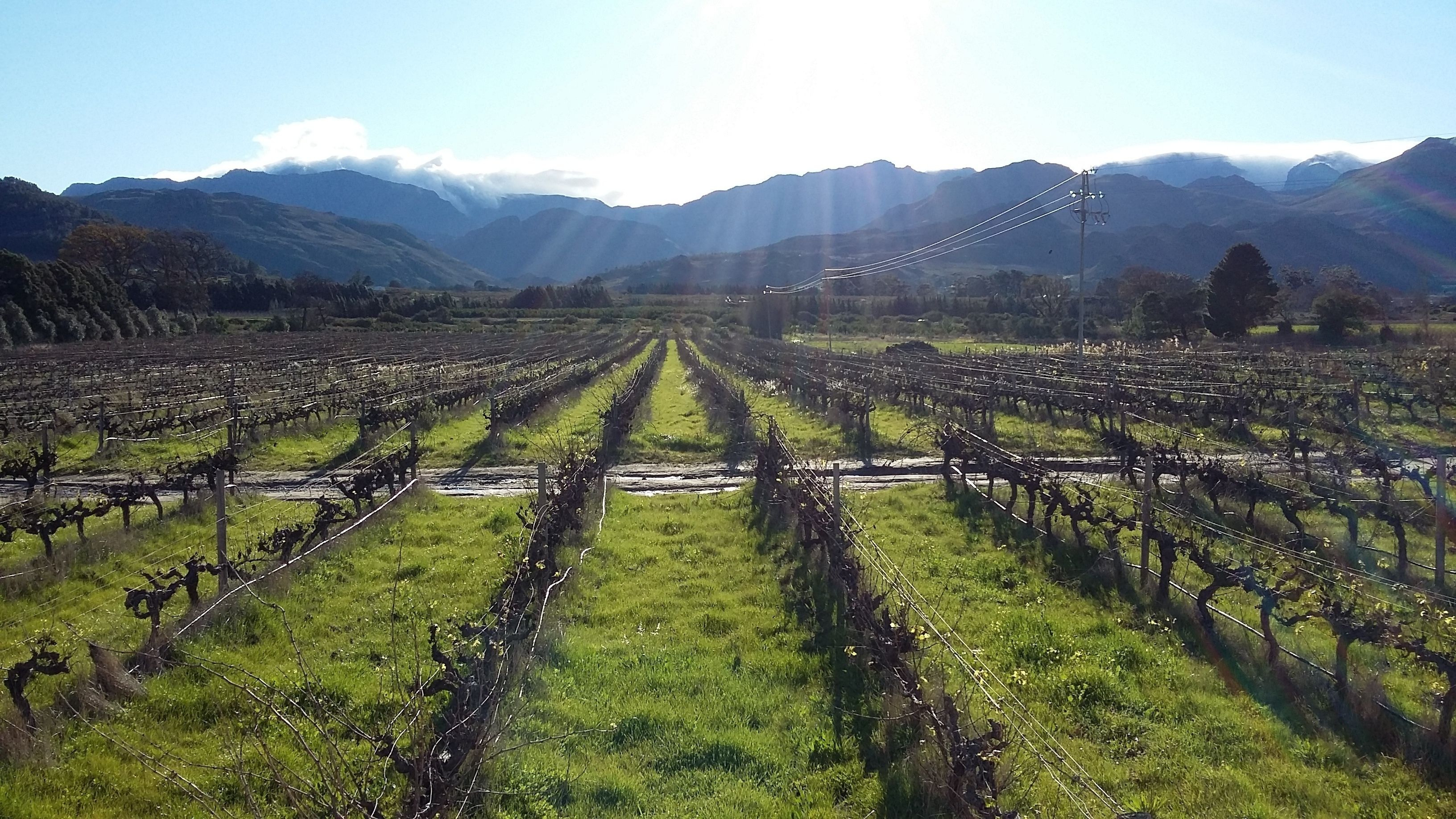 Foto - Klein Waterval Riverside Lodge