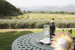 Mountain view - Klein Waterval Riverside Lodge (Franschhoek)