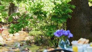A dining table with a vase of purple flowers and a glass of juice, set against a backdrop of a natural stream and trees. - Klein Waterval Riverside Lodge (Franschhoek)