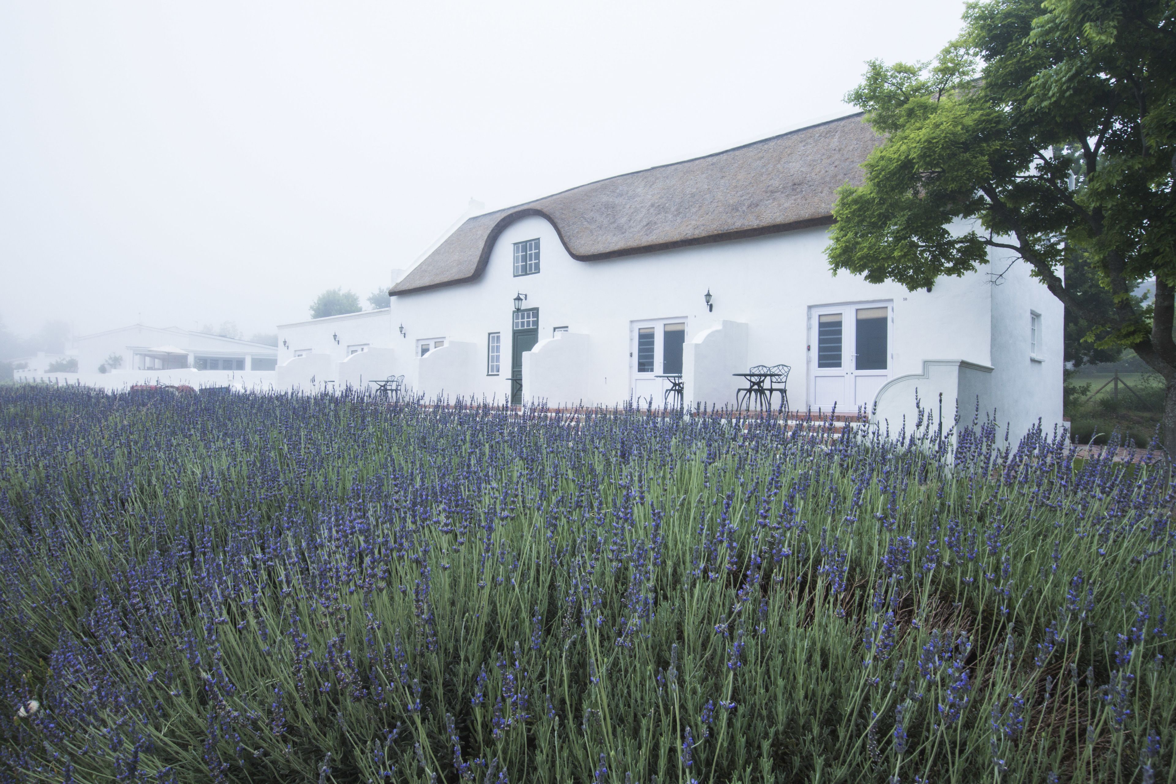 Foto - Klein Waterval Riverside Lodge
