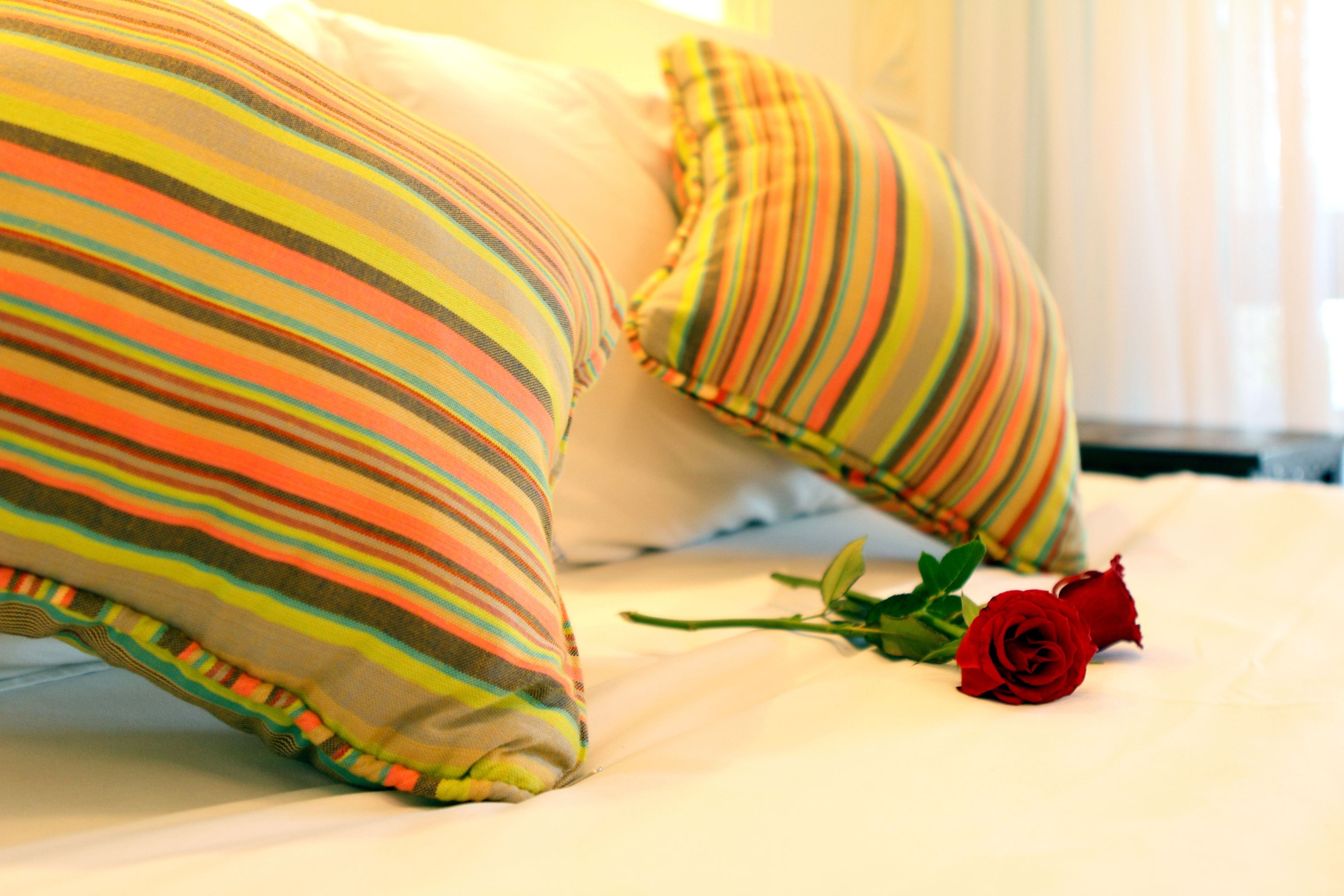 A bed with striped pillows and a single red rose.