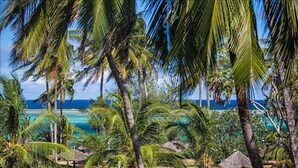 Un complexe hôtelier tropical doté de palmiers, d’une plage et d’une eau cristalline.