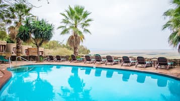 Relax by the pool surrounded by palm trees and enjoy stunning ocean views.
