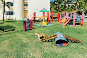 Pet-friendly amenities