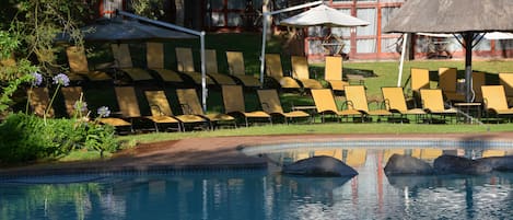 Una piscina al aire libre, sombrillas, tumbonas