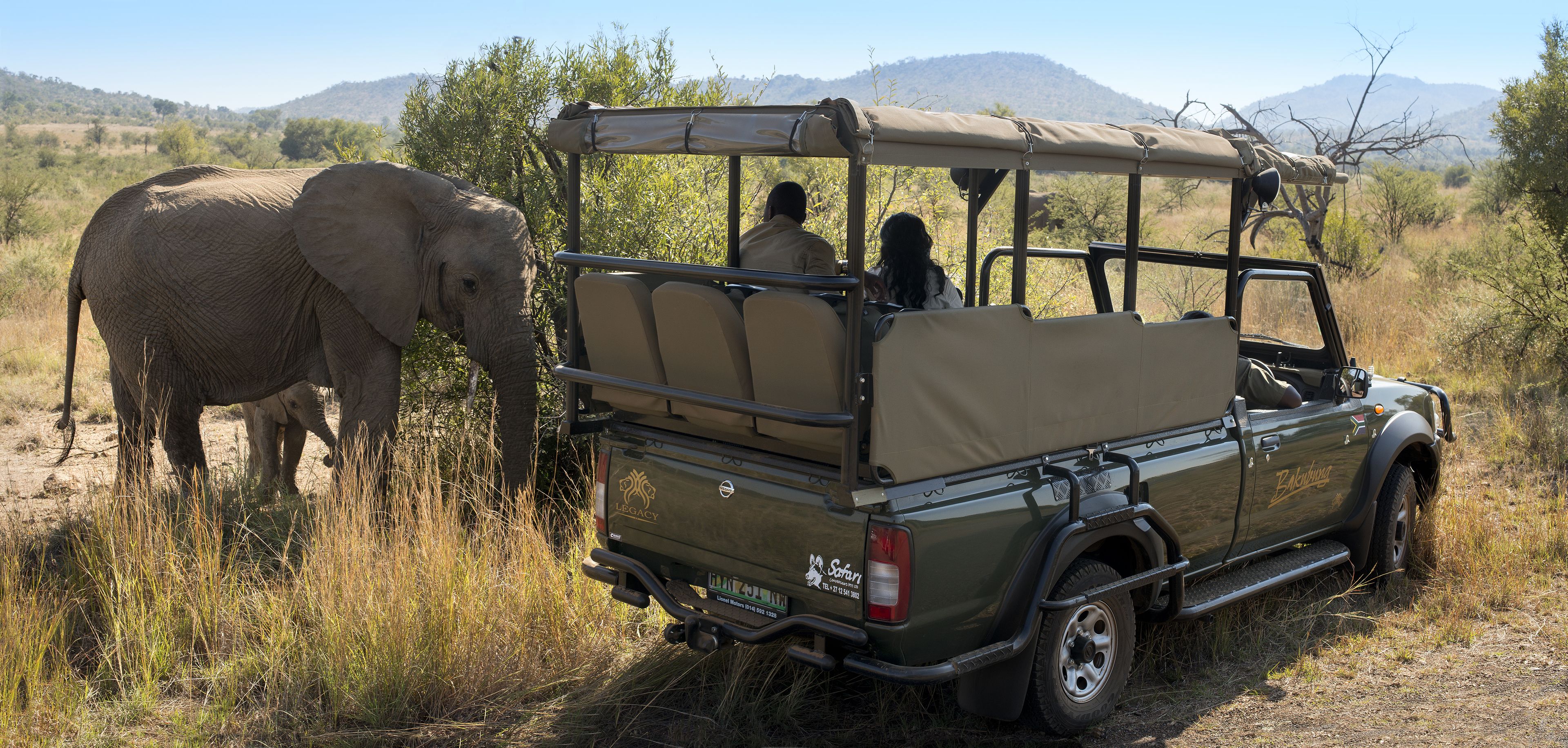 A safari vehicle with a roof, a man and a woman inside, and an elephant nearby.