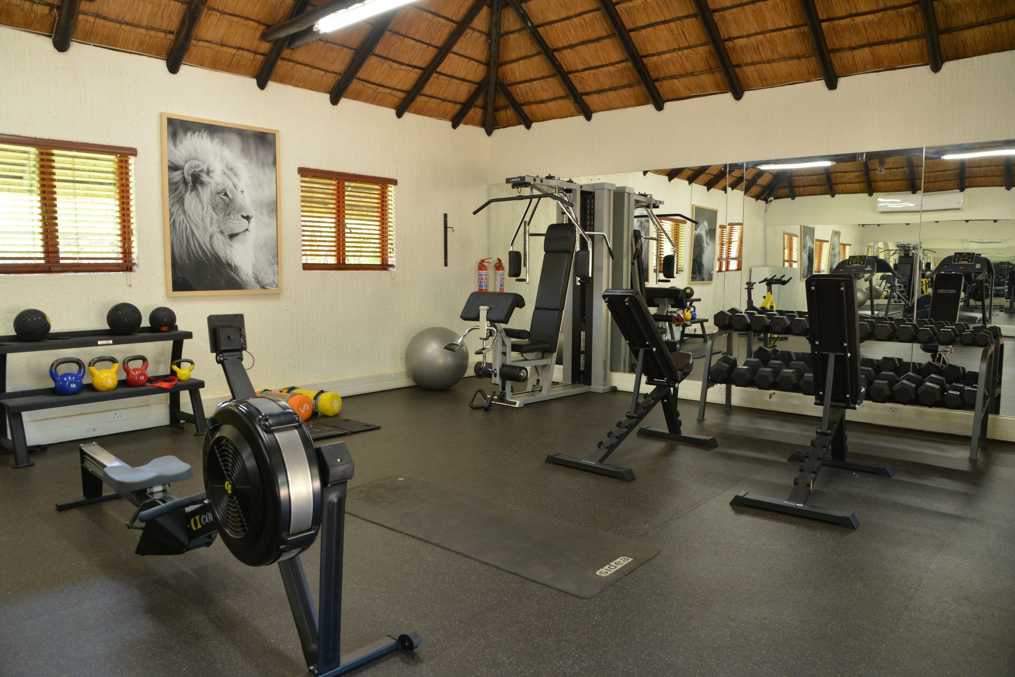 A gym with exercise equipment, a bench, kettlebells, and a large mirror.