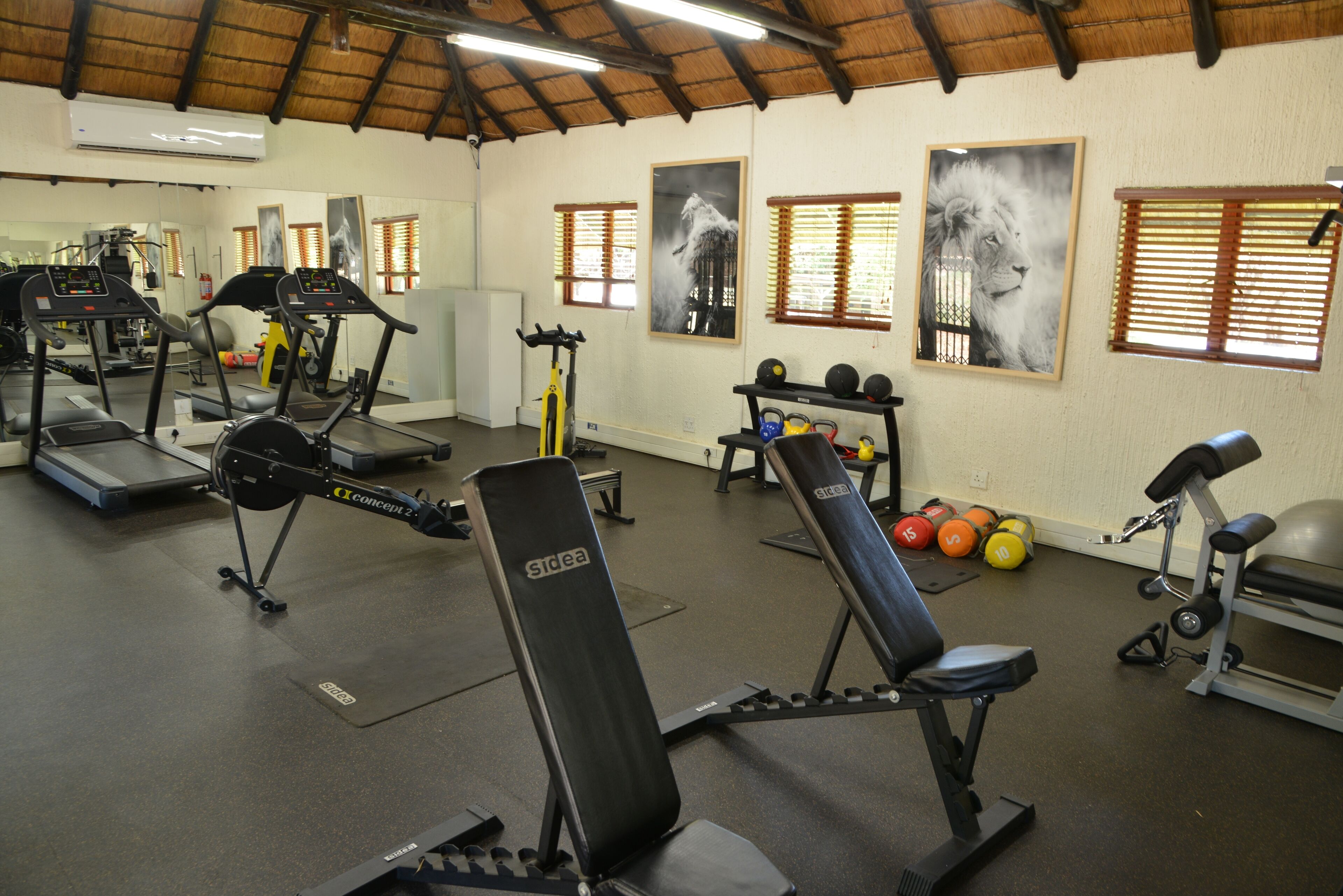 A gym with treadmills, weight machines, and dumbbells.