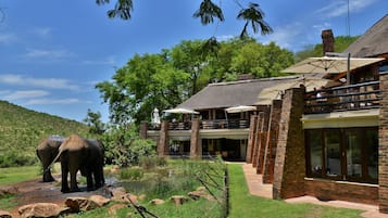 Un bâtiment à l’extérieur en briques, doté de grandes fenêtres et d’un balcon donnant sur un paysage naturel où l’on peut observer des éléphants.