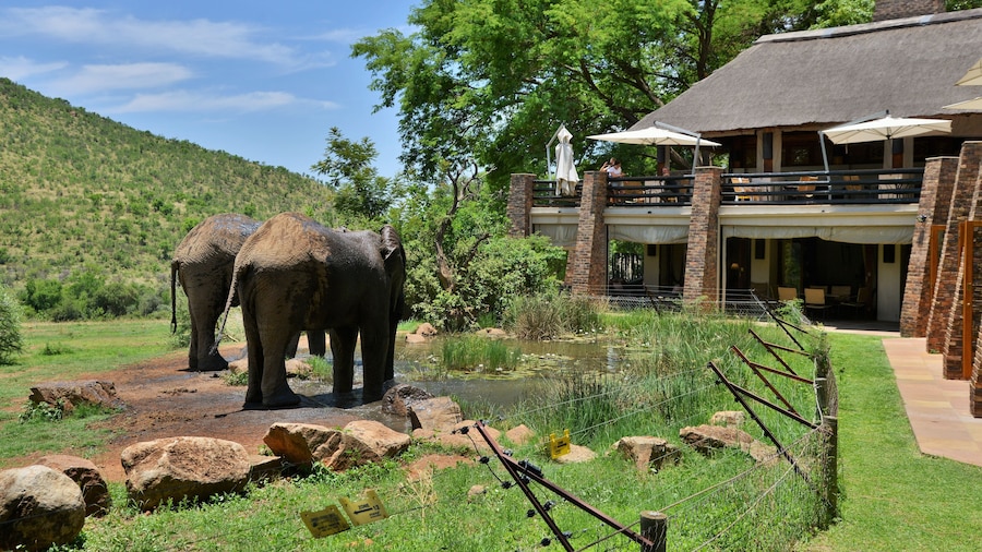 Kwa Maritane Bush Lodge