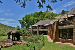 Property grounds - Kwa Maritane Bush Lodge (Pilanesberg National Park)