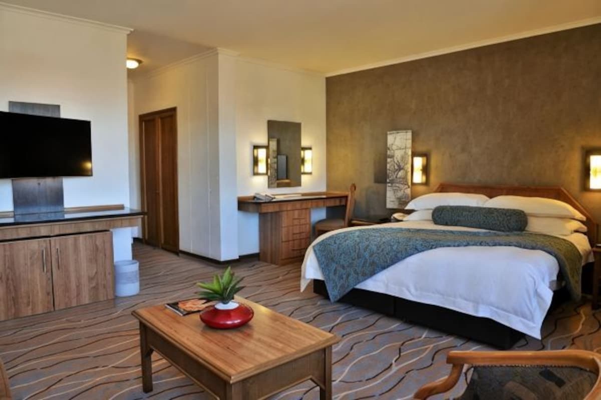 A hotel room with a bed, a desk, a television, and a plant.