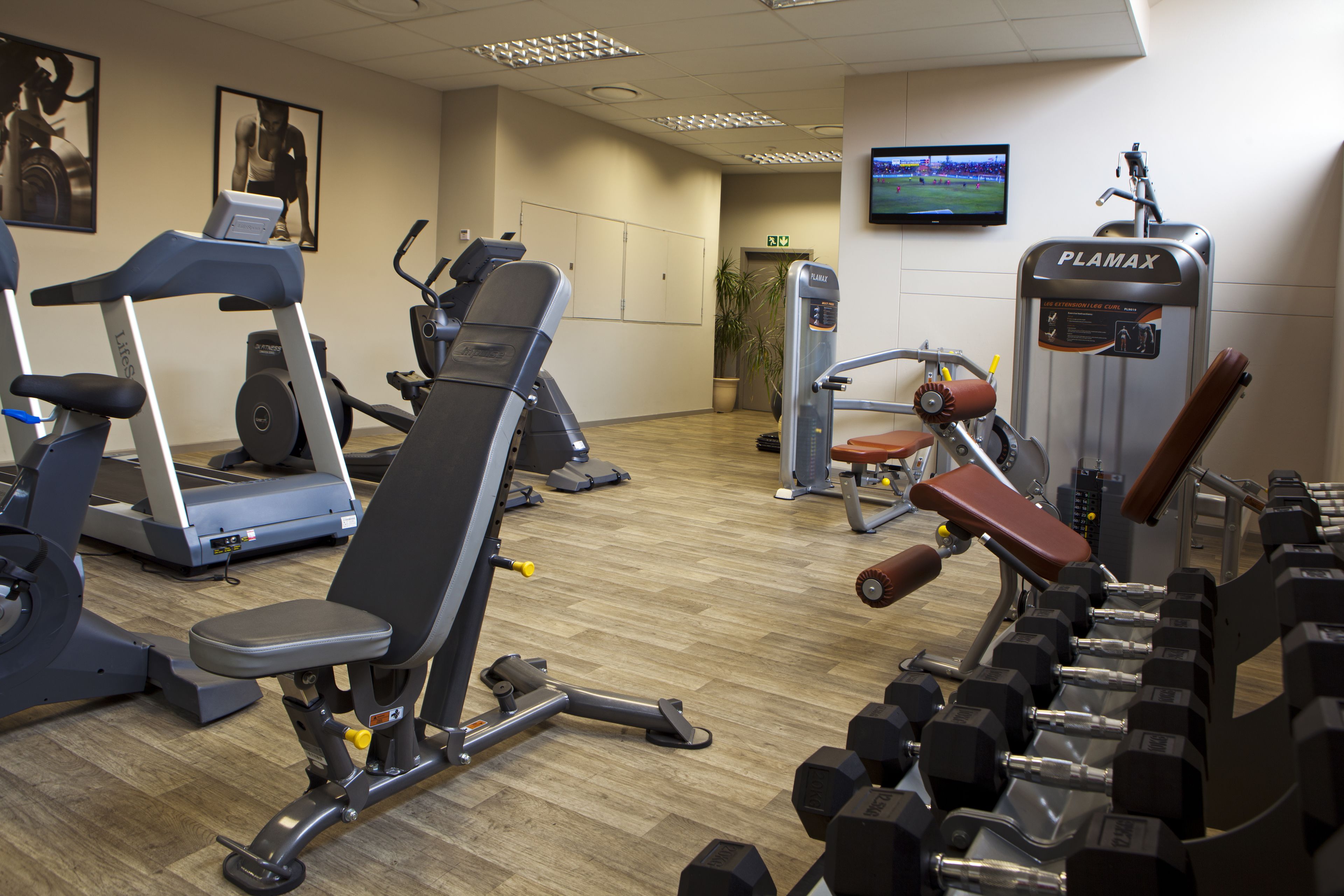 A gym with exercise equipment, a television, and a potted plant.