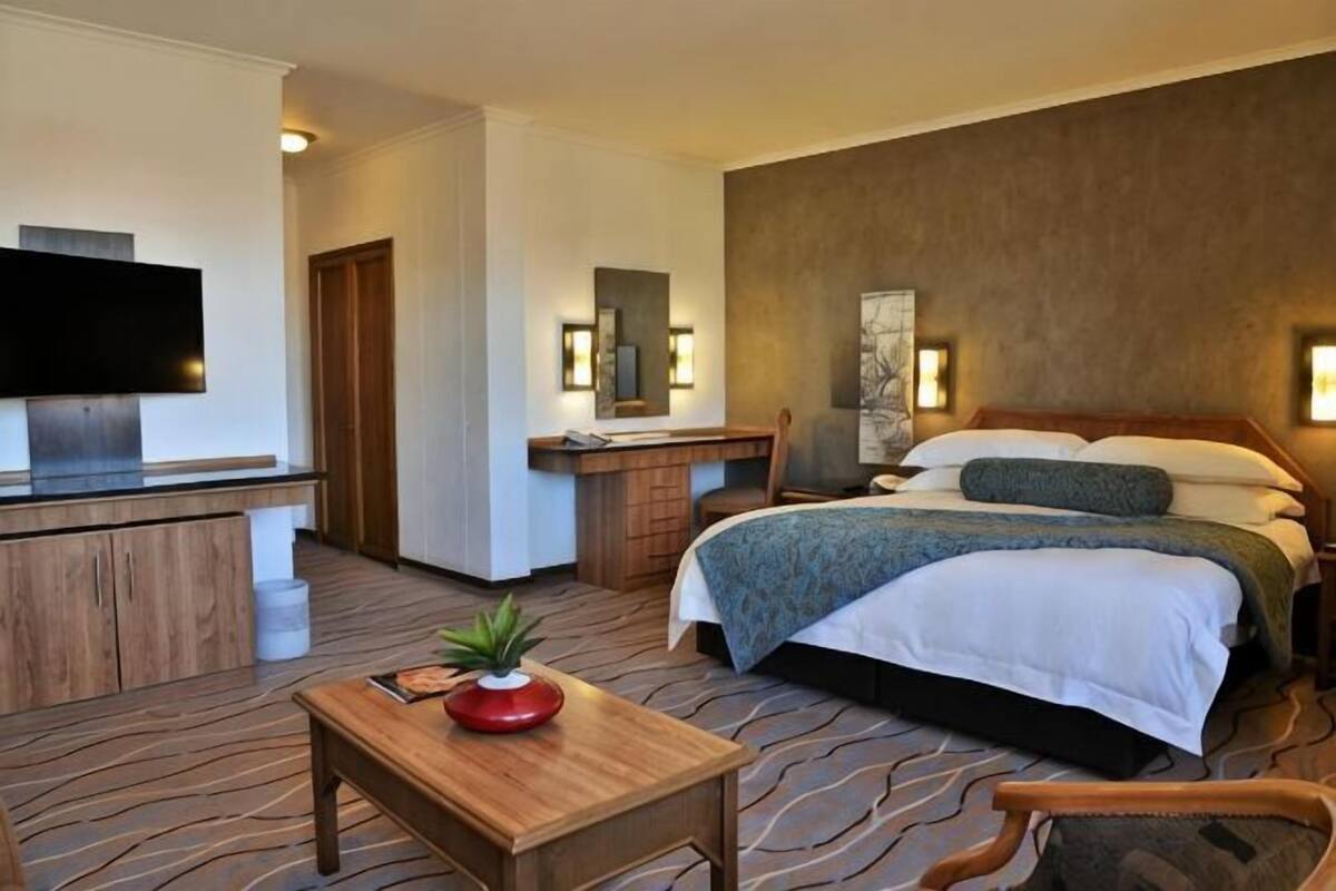 Ein Hotelzimmer mit Bett, Schreibtisch, Fernseher und einem kleinen Tisch mit Pflanze.