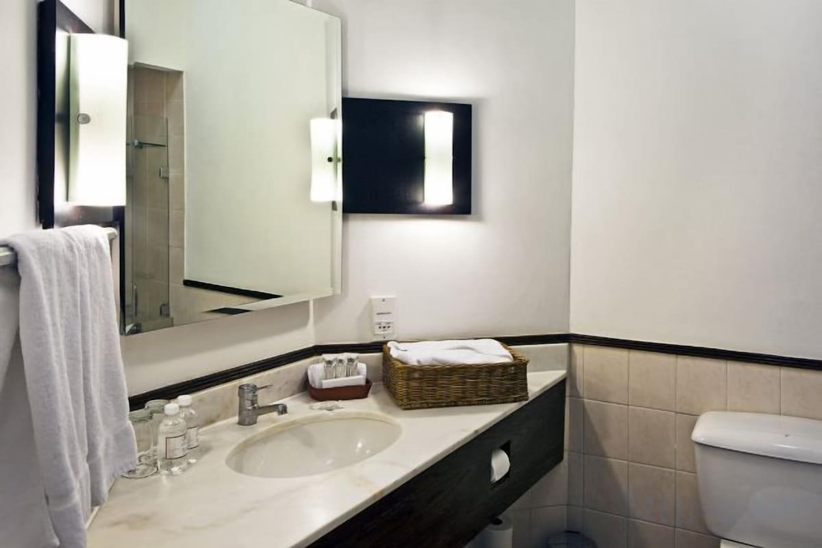 Combined shower/tub, free toiletries, hair dryer, towels