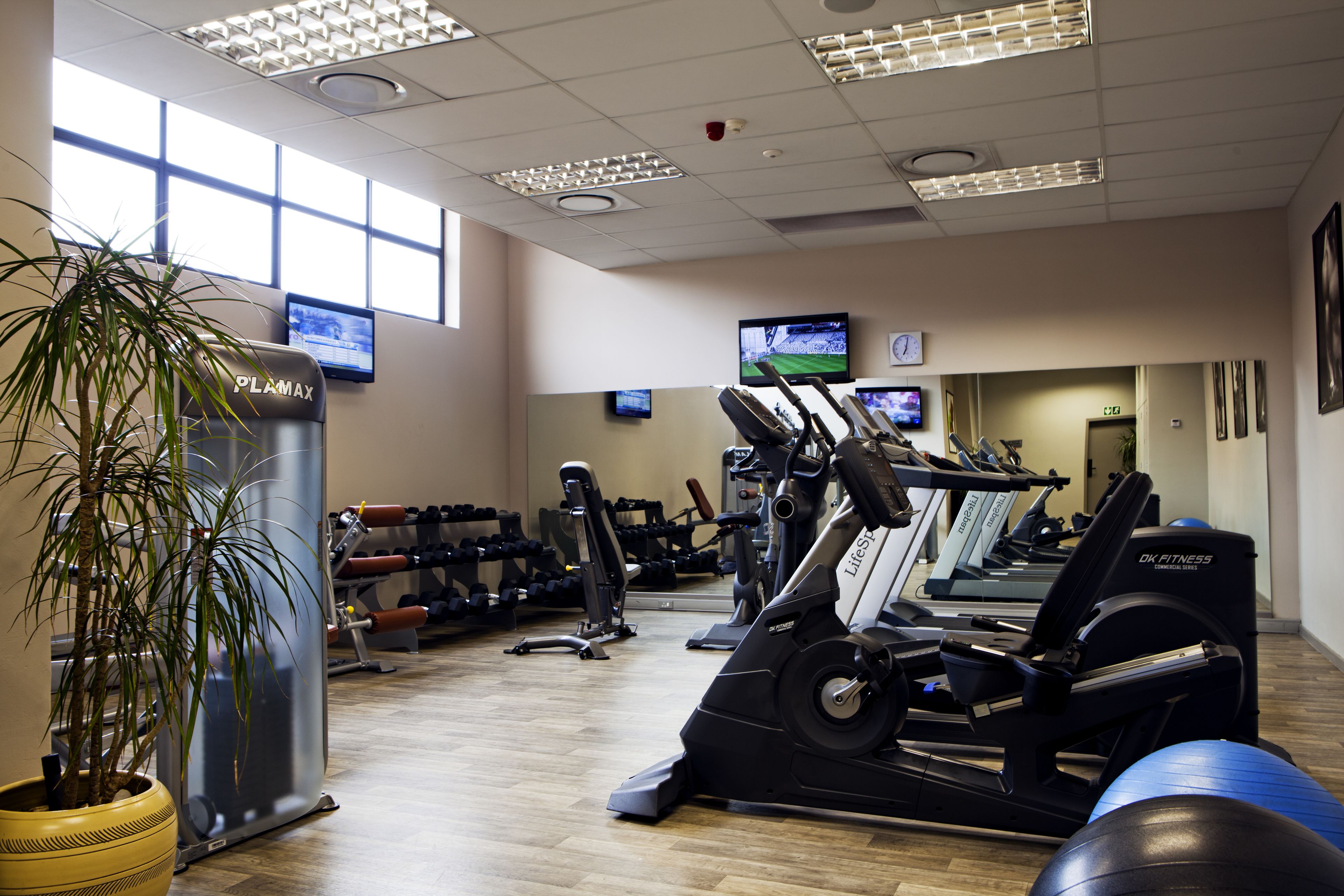 Ein Fitnessraum mit Trainingsgeräten, einer großen Kübelpflanze und mehreren Fernsehern an der Wand.