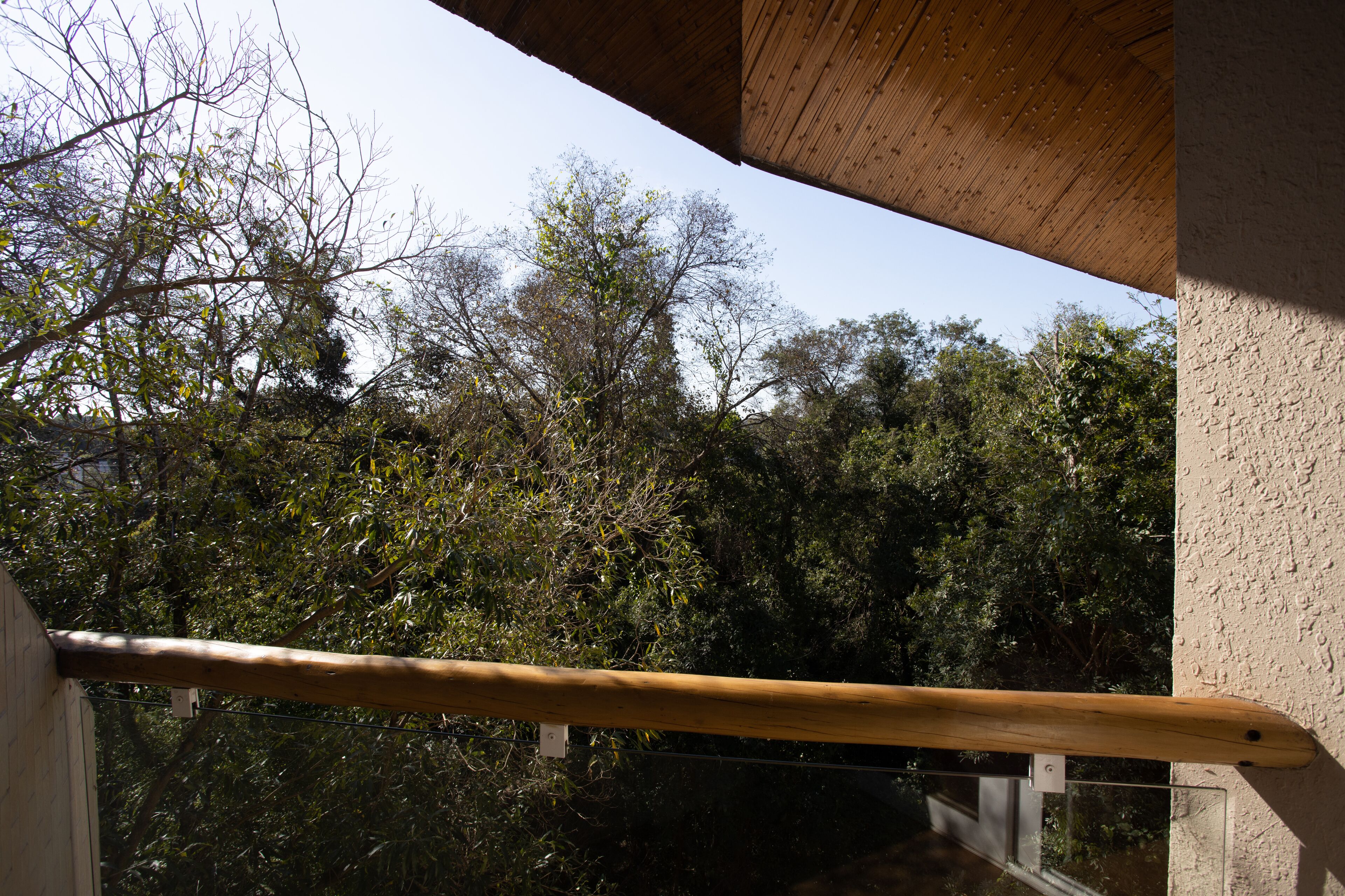 room (suite master - vista bosque) | balcony