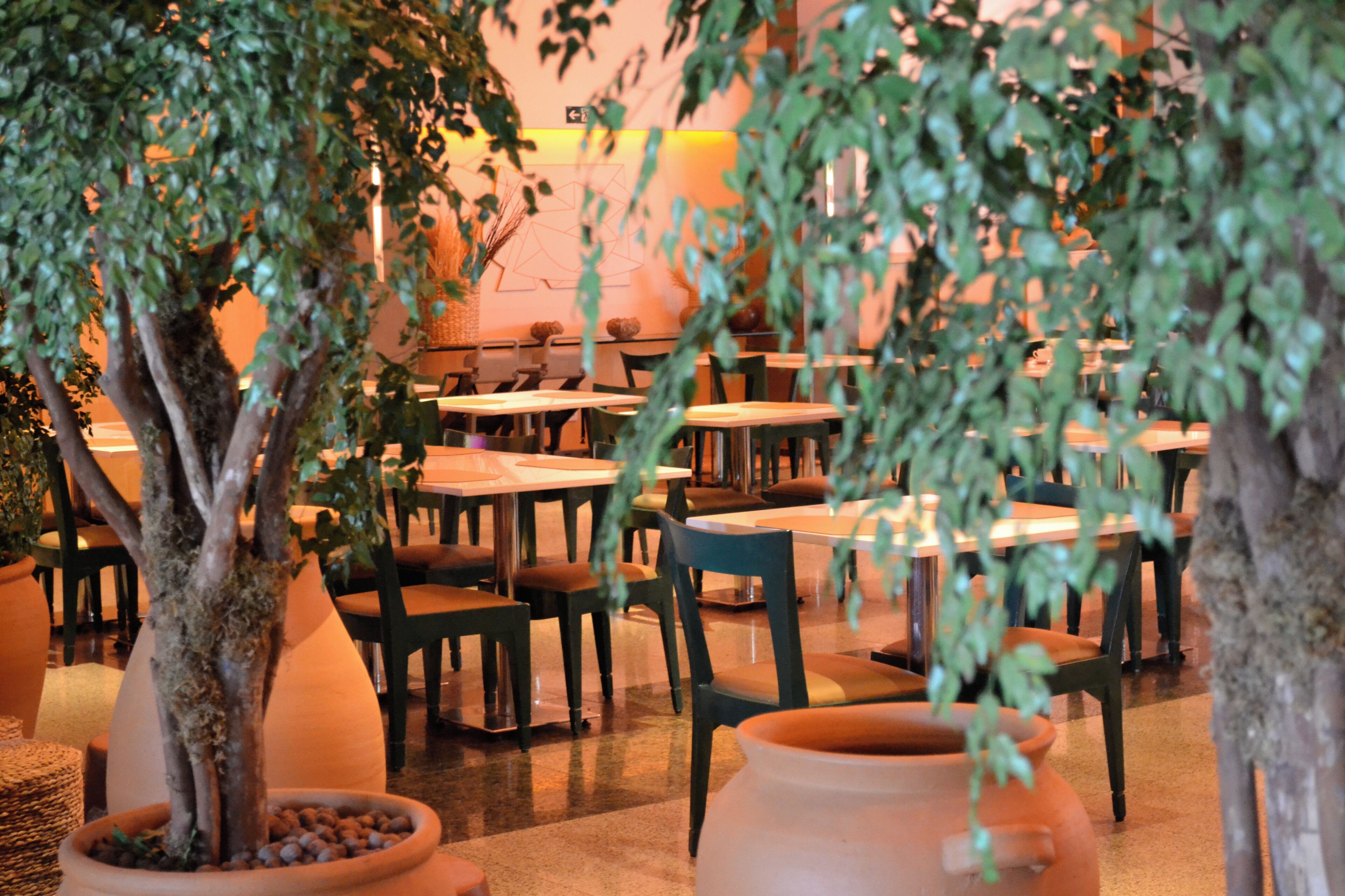 Photo - Seara Praia Hotel