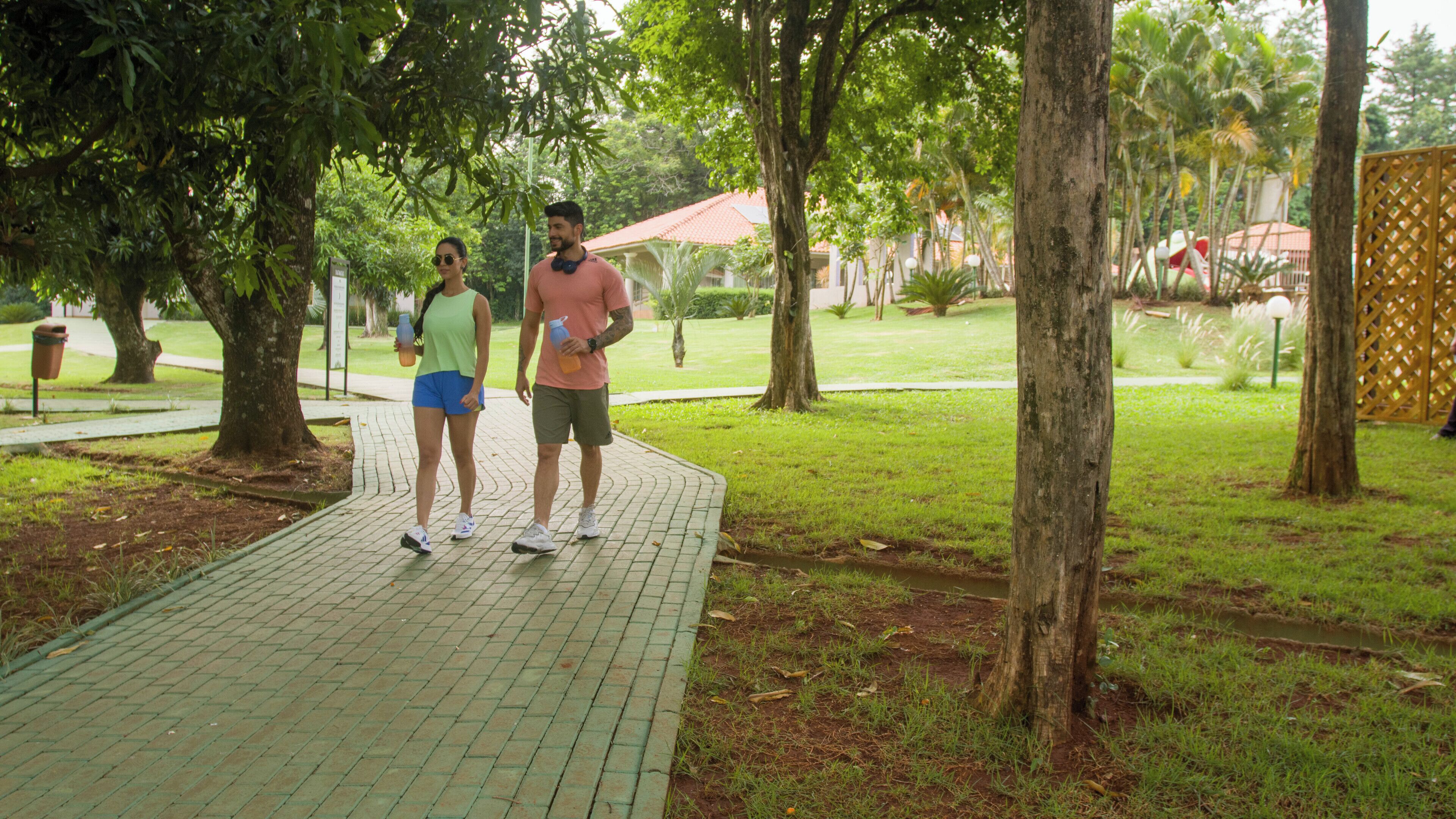 Un chemin pavé dans un parc, bordé d’arbres et recouvert d’herbe.