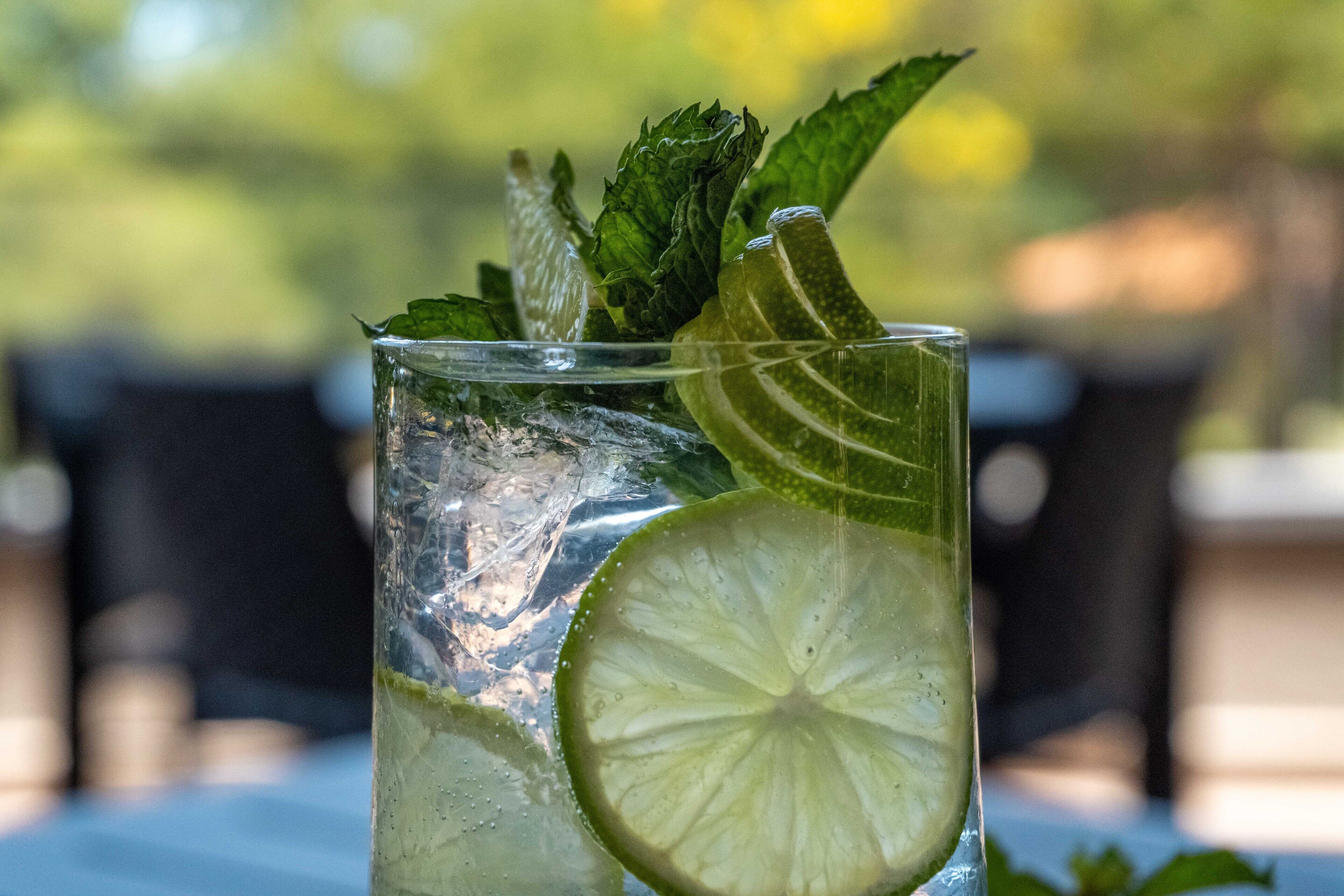 A glass with a lime slice and mint leaves, possibly containing a beverage, with a blurred outdoor background.