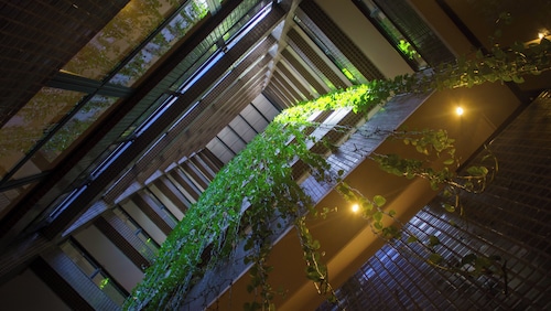 SJ Business - San Juan São Paulo