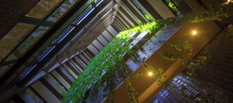 SJ Business - San Juan São Paulo