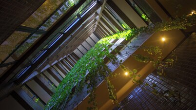 SJ Business - San Juan São Paulo