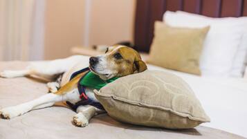 Un perro recostado en una cama con un almohadón.