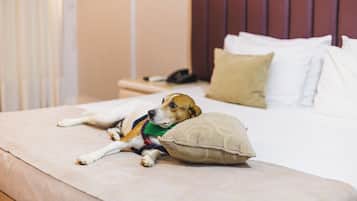 1 غرفة نوم وميني بار وخزنة داخل الغرفة ومكتب