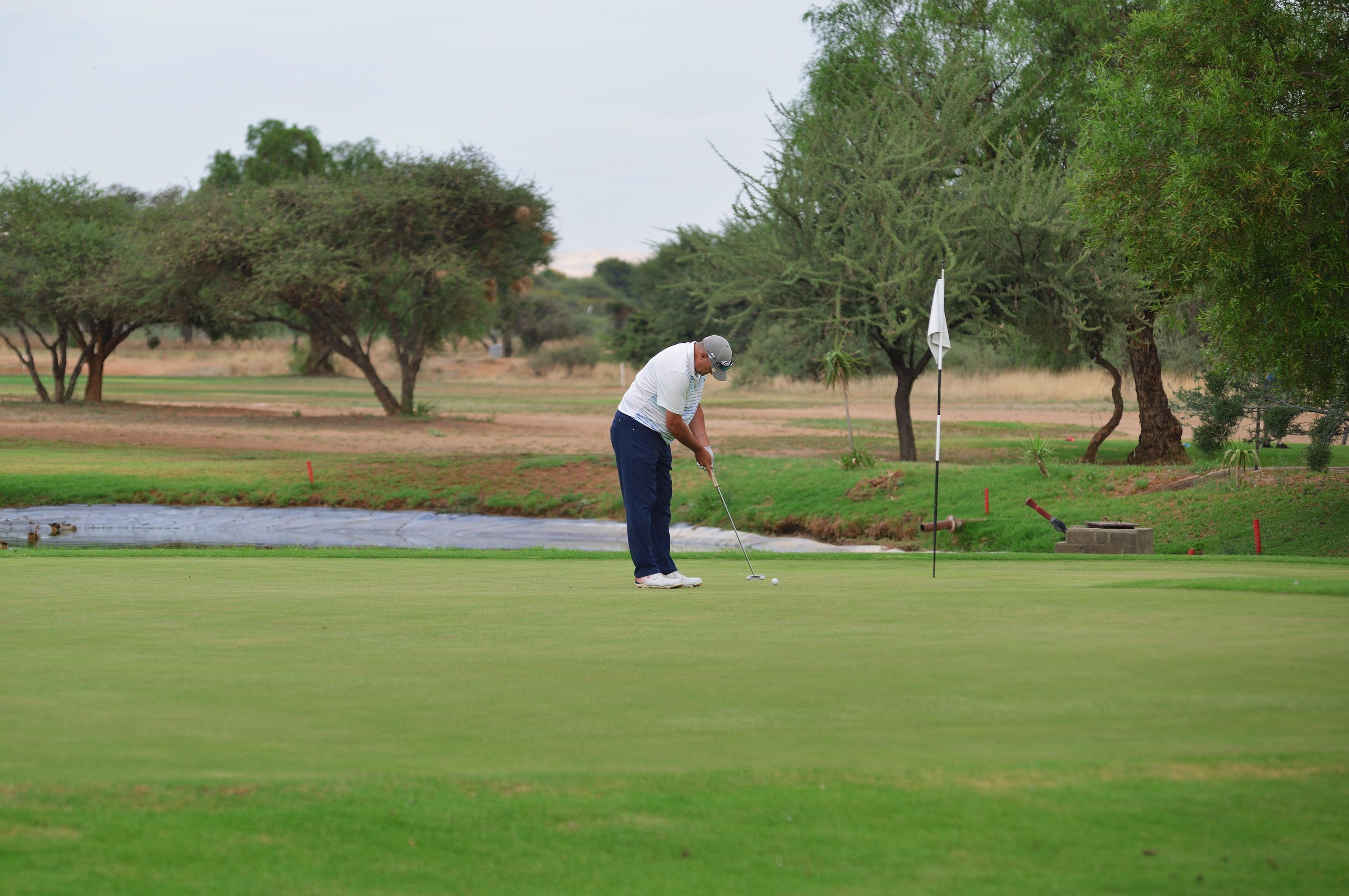 A golf course with a putting green, trees, and a water hazard.