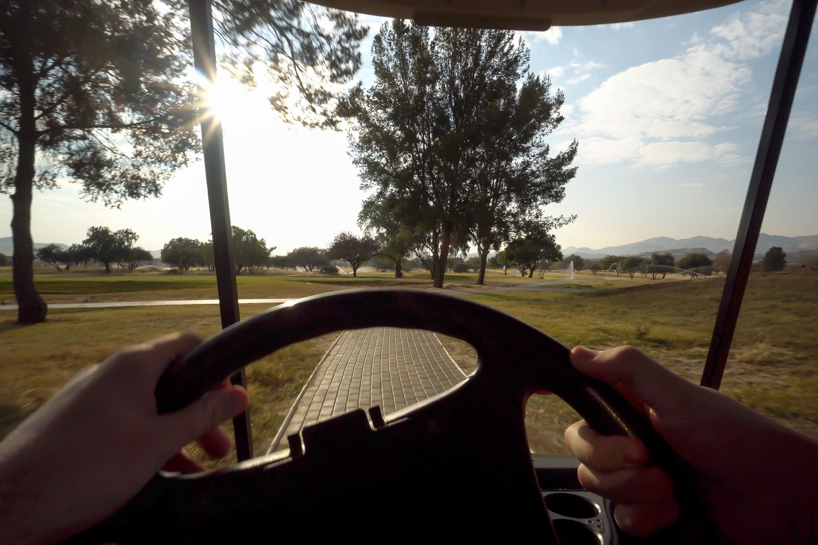 A view from inside a vehicle, focusing on the steering wheel and a paved path with trees and distant mountains.