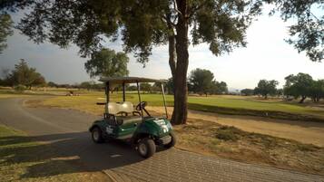Golf cart